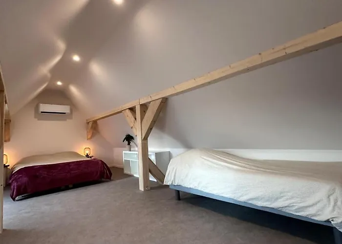 2023 Daire Kintzheim